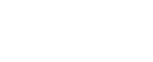 Logo: ZEYN